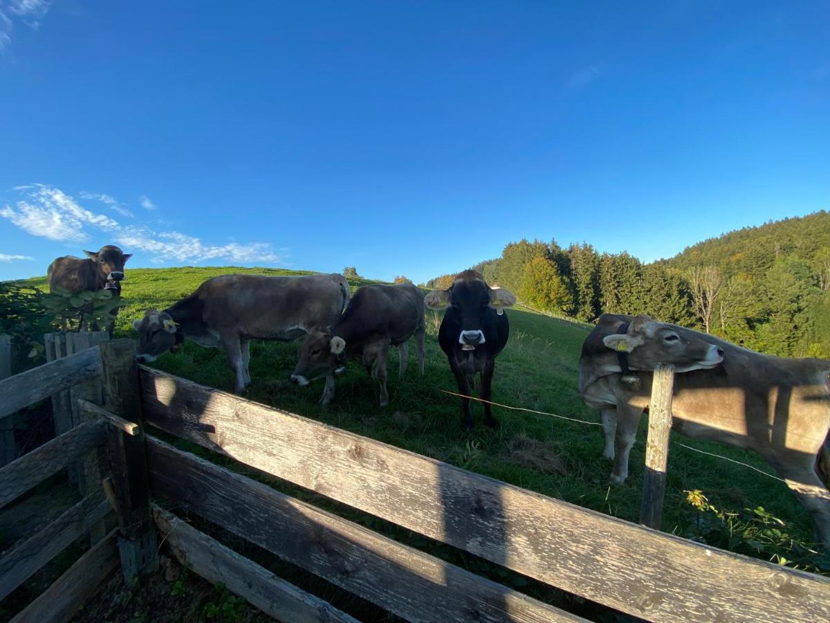 Ferienwohnung Bergblick Wangen Im Allgaeu Mit Garten, 2022 Komplett Renoviert المظهر الخارجي الصورة