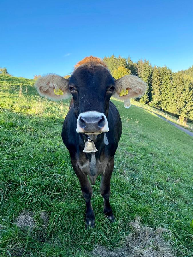 Ferienwohnung Bergblick Wangen Im Allgaeu Mit Garten, 2022 Komplett Renoviert المظهر الخارجي الصورة